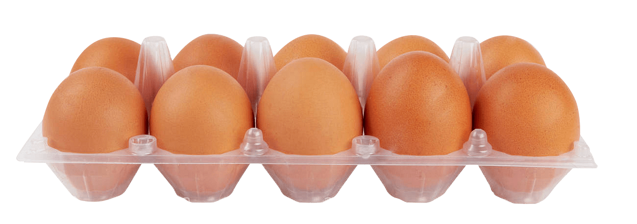 Яйце Размер М 10бр Криция