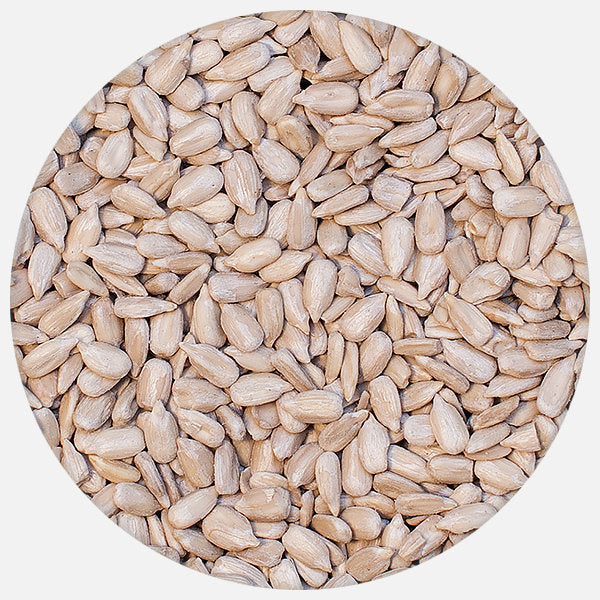 Белен Слънчоглед 55гр Томи Семки