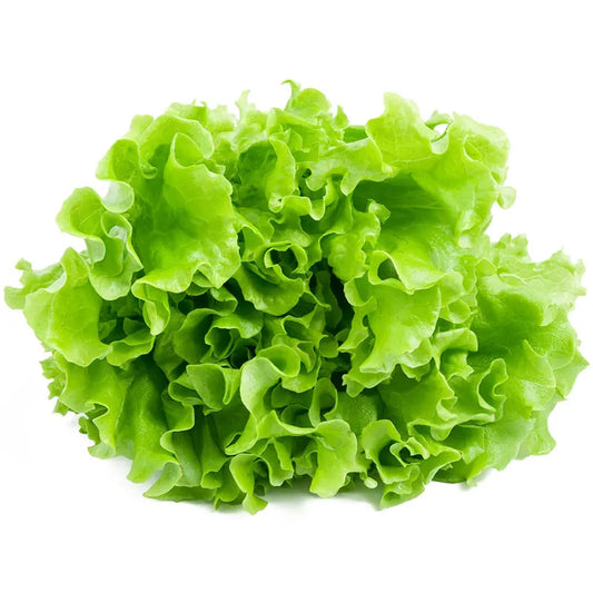 Зелена Салата 1бр