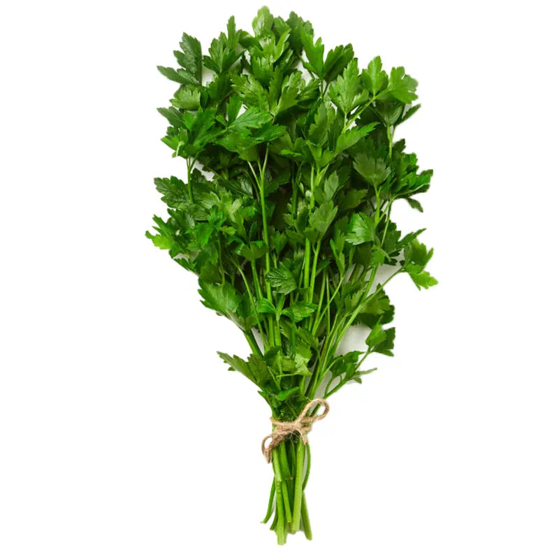 Магданоз /1бр./