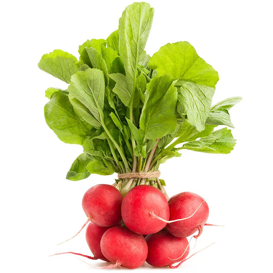 Репички /1 Връзка/